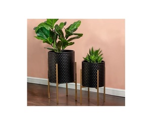 Macetas de vivero de suministro a granel de La India para jardinería doméstica - Product Image 1