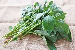 HOJAS DE YUTE CONGELADAS CON ALTA FIBRA PARA DIETAS DE ETIQUETAS LIMPIAS Y APOYO INMUNE NATURAL DE FUENTES VEGETALES - Product Image 4