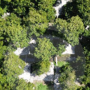 Film de paillis agricole-Contrôle de haute qualité La régulation de la température du sol maintient la zone racinaire optimale pour la croissance des plantes. - Product Image 1