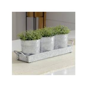 Home Kitchen Decoration Herbs Container for Hot Selling Decorative <b>Planters</b> High Quality Galvanized <b>Planters</b> in Low Price - Product Image 1