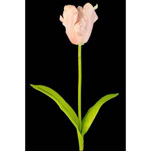 Tulipe Rose 65cm - Product Image 4