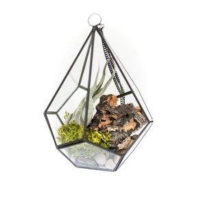 Best Quality <b>Glass</b> Terrarium For Wholesale Price <b>Glass</b> <b>Vase</b> Plants Storage Dining Room Decor <b>Glass</b> Terrarium . - Product Image 5