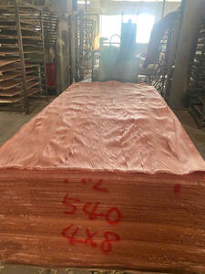 Lámina de Madera Contrachapada Bintangor de Alta Calidad para Muebles, Gabinetes y Puertas - Product Image 4