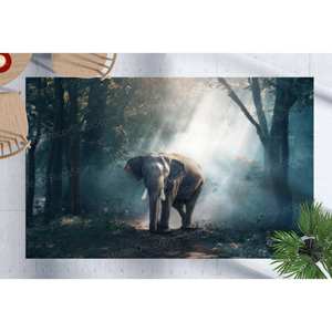 Tapis imprimé éléphant animal sauvage - Décoration de maison de luxe, tapis fin non tissé - Product Image 1