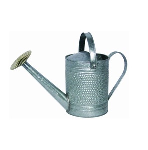 hot sale Simple Metal Water Can stainless steel polish water <b>cane</b> <b>garden</b> Hot Selling Compare Share <b>Garden</b> Watering Can Galvanize - Product Image 6