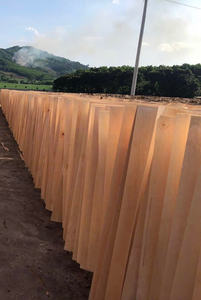 Placages de panneaux pelés prêts en vrac de haute qualité - Product Image 4