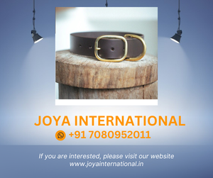 Correa ancha para perro, estampado Vintage Croc - Product Image 2