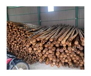 Poteau de canne en bambou en gros écologique de haute qualité matériau de bambou naturel approvisionnement d'exportation directe d'usine du Vietnam - Product Image 2