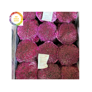 Fruit du dragon rouge séché naturellement doux texture moelleuse collation de fruits tropicaux fabriqué au Vietnam approvisionnement en vrac - Product Image 5