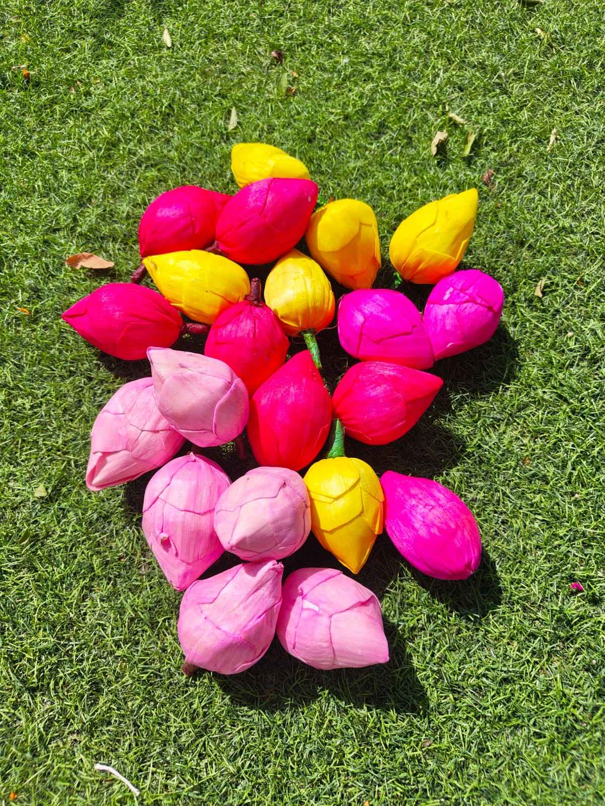 ทารกสีชมพู