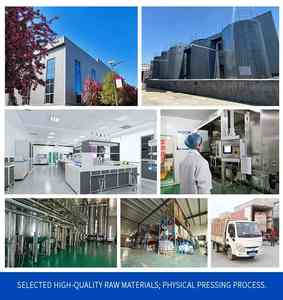 Vente directe d'usine d'huile de graines de citrouille pressée de première qualité, huile santé - Product Image 6