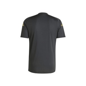 Camiseta de fútbol 2026 WC, paquetes de uniformes de fútbol sublimados personalizados de alta calidad, conjuntos para adultos, servicio OEM, estilo argentino - Product Image 2