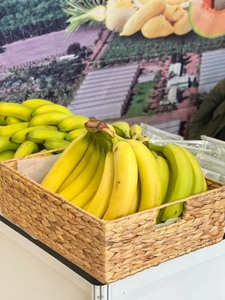 Elegante bandeja de almacenamiento para el hogar para comida, encanto, decoración del hogar con toque encantador para el espacio vital - Product Image 3