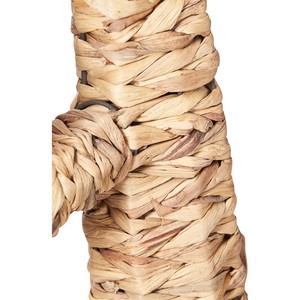 Decoración creativa para el hogar, ornamento especial de cactus jacinto de agua, escultura decorativa, acentos trenzados a mano de Vietnam - Product Image 4