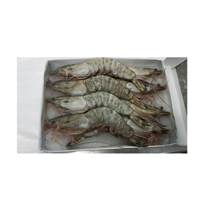 Camarones Tigre Negro Vannamies / Camarones Rojos Congelados Crudos Pelados / Mariscos Refrigerados - Product Image 5