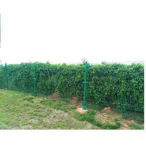 Оцинкованная 3d изогнутая сварная проволочная сетка Новейшая металлическая панель ограждения для дорожного сада земли школьная площадка