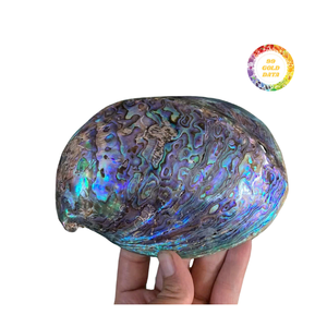 Pink <b>Abalone</b> <b>Shell</b> Natural Color Mother of Pearl for Artistic Craft Jewelry and Inlay Applications - Product Image 5
