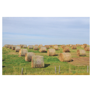Se vende heno de pasto a granel de alta calidad, envío rápido, tarifas al por mayor asequibles - Product Image 4