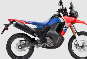 Meilleures motos de rallye CFR300l avec garantie d'usine de 24 mois, motos sans balais - Product Image 2