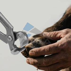 Pince à sabot 8 "avec poignées en plastique Outil de maréchal-ferrant en acier au carbone robuste pour tailler et couper les sabots Vache Âne Chèvre - Product Image 5