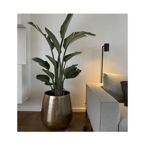 Macetas plateadas de diseño elegante, macetas de plantas de gran tamaño, macetas decorativas para el hogar, macetas de decoración de balcón para el hogar - Product Image 1