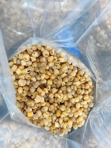 เนื้อลำไยอบแห้งคุณภาพสูงเนื้อลำไยตากแห้งผักผลไม้ทางการเกษตรส่งออกมาตรฐาน - Product Image 5