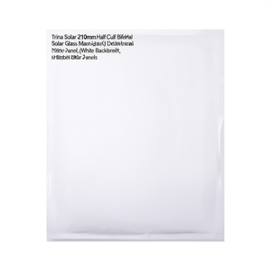Panneau solaire Trina Solar 210 mm à demi-cellules, bifacial, double vitrage, feuille arrière blanche - Product Image 2