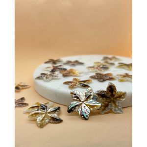 Cuentas Sueltas de Concha de Estrella de Mar Negra - Product Image 2