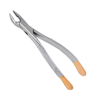 Forceps d'extraction dentaire manuels en acier inoxydable de qualité supérieure ZARNAB SURGICAL pour les racines, certifiés CE, garantie 1 an - Product Image 4
