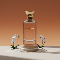 Flacon de parfum vide, design unique et luxueux, flacon de parfum en verre pour homme, 100 ml, sans bouchon