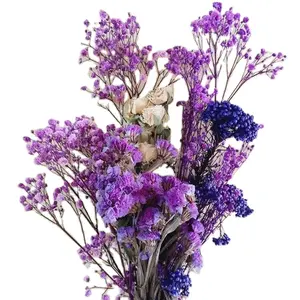 Dried Flowers Natural Bouquets Exotic Floral Home decoration Potpourri