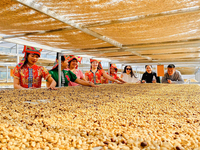 Café en grains arabica vietnamien, café en poudre arabica, prix de gros quantité minimale de commande rôti moyen et foncé pour expresso, latte