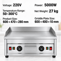 Commerciële elektrische bakplaat 600 mm vlakke grillplaat 5000 W dubbele temperatuurregeling 10 mm dikke plaat roestvrijstalen aanrechtblad 220 V