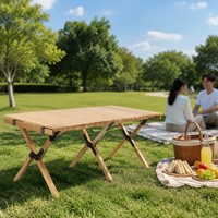 Table pliante de pique-nique de plage en acier inoxydable, portable et légère