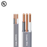Kabel Bangunan Berisolasi PVC Tembaga Murni Berlapis Nilon Datar 600V 6/2 6/3 8/2 8/3 10/2 10/3 12/2 12/3 14/2 14/3 UF-B
