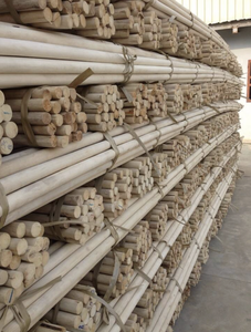 Postes de bambú de Vietnam para paisajismo Enrejado de jardín Artesanía y proyectos decorativos para el hogar de larga duración - Product Image 4