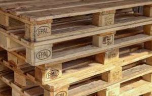 พาเลทไม้ยูโร epal พาเลทไม้ใหม่ - Product Image 6