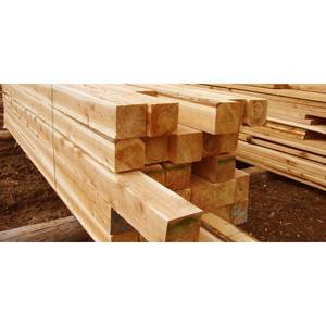 Bois de pin séché au four de qualité supérieure pour l'intérieur et la production de meubles - Product Image 1