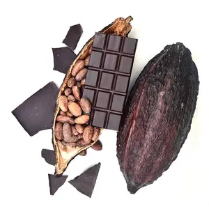 Granos de cacao secos al por mayor de calidad superior/Granos enteros de cacao fermentados naturales/Granos de cacao orgánicos