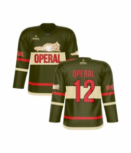 Maillots de hockey sur glace rétro personnalisés, vêtements d'équipe de sport rétro, polyester, avec design imprimé par sublimation - Product Image 3