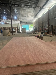 Vietnam-made Bintangor Face Eucalyptus Core Plywood Panel for Cabinet & Wall Furniture Use - Product Image 4