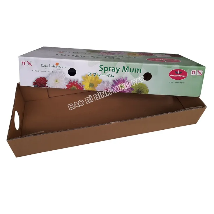 Vietnam fruit packaging box carton for Apple mango etc for export High Quality Good Choice Wholesale