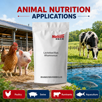 Offre Spéciale : Poudre de Lactobacillus Rhamnosus Qualité Alimentaire 100 Milliards UFC/g pour Suppléments Probiotiques, Aliments Fonctionnels, Boissons et Alimentation Animale
