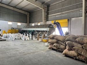 TTQ INDUSTRIAL EQUIPMENT Professional fruit peanut and nut sorting <b>machine</b> Sorting <b>machine</b> from Vietnam - Product Image 4