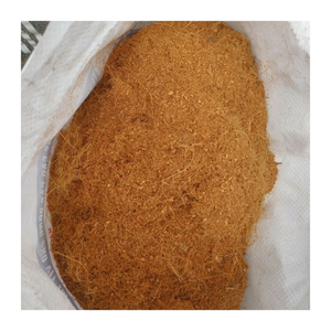 L'améliorateur de sol de tourbe de coco retient l'humidité et améliore la structure du sol pour une agriculture durable-Coco Peat from Viet Nam - Product Image 5