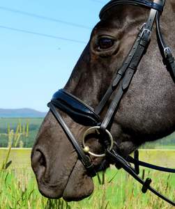 Bride en cuir de cheval 2019 de haute qualité Bride en cuir de cheval de haute qualité - Product Image 6