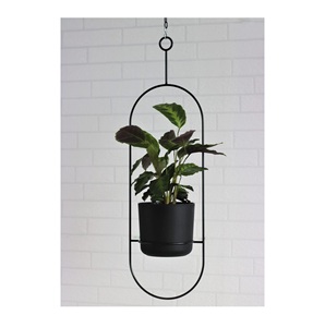 Maceta Colgante Decorativa de Metal para Exteriores, Apta para Patios, Balcones y Jardines, que Ofrece una Colocación Elegante de Plantas - Product Image 4