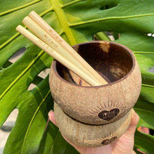 100% Ensemble de bols en noix de coco polie naturelle Ustensiles de cuisine écologiques avec logo personnalisé Artisanat à bas quantité minimale de commande Vietnam, y compris cuillère fourchette - Product Image 1