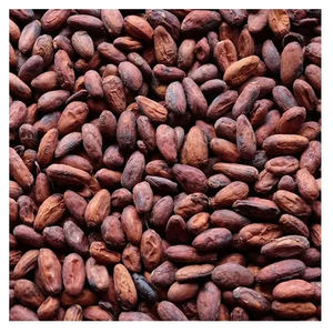 Grano de cacao de la mejor calidad a la venta a precio barato - Product Image 3