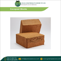 Exportateur de blocs de cocopeat d'horticulture hydroponique de serre naturelle de haute qualité 100% pour les acheteurs en vrac